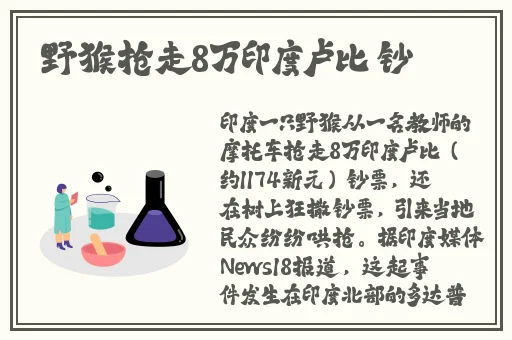 9277影视在线观看免费