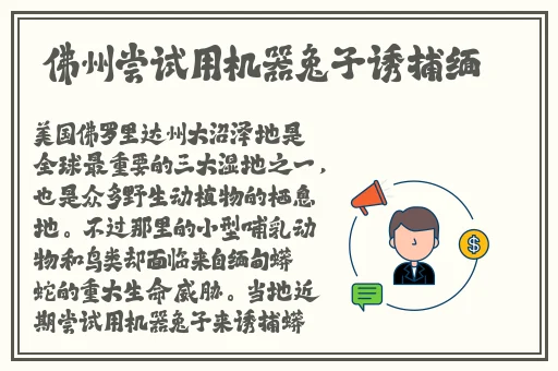 双人打扑克剧烈运动视频真实